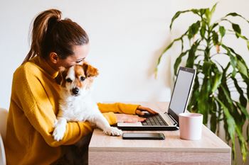 Young woman working on laptop in yellow sweater at home with cute small dog on her lap.